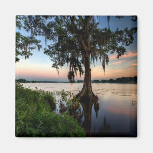 Imán Agua   Kraft Azalea Park Maitland Florida