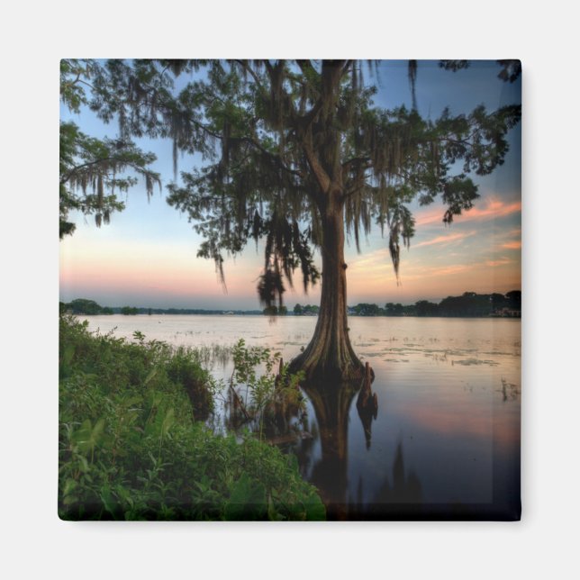Imán Agua | Kraft Azalea Park Maitland Florida (Frente)