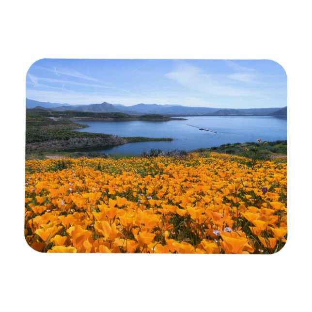 Imán Agua | Lago California Con Cachorros Dorados (Horizontal)