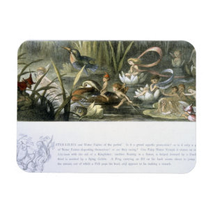 Imán Agua-Lirios y hadas del agua, ilustracion de
