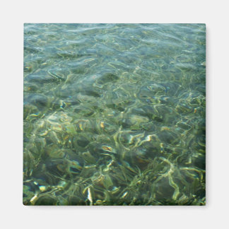 Imán Agua sobre hierba marina en la naturaleza caribeña