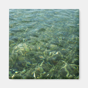 Imán Agua sobre hierba marina I Naturaleza del Caribe