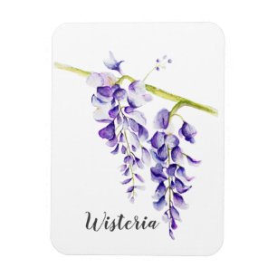 Imán Agua Wisteria Botánica