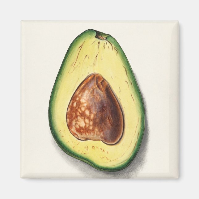 Imán Aguacate (Frente)