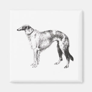Imán Aguafuerte de Martynow del Borzoi