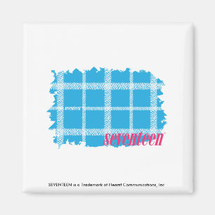 Imán Aguamarina 4 de la tela escocesa