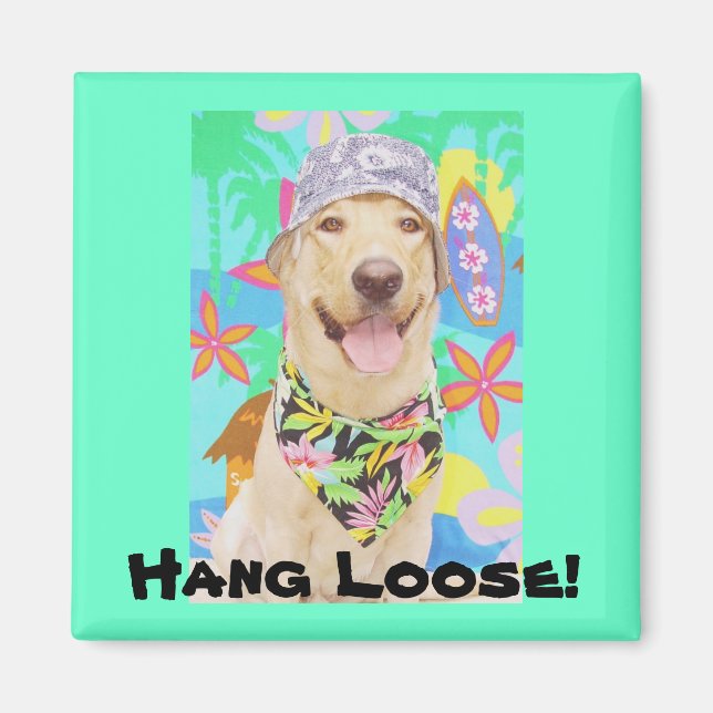 Imán ¡Aguanta! (Frente)