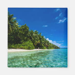 Imán Aguas Azules de una Playa Tropical