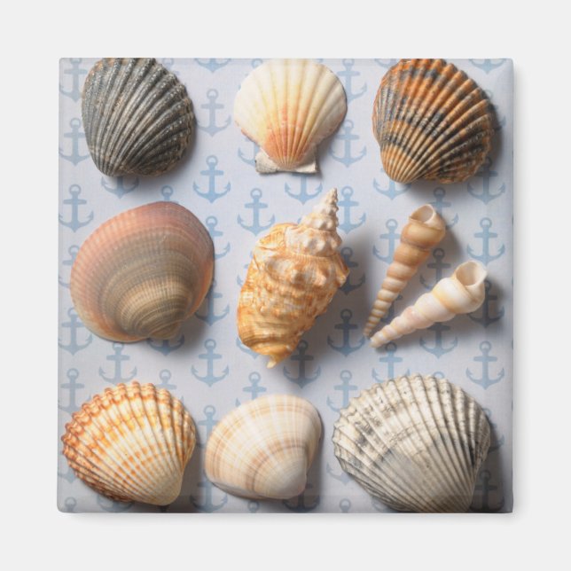 Imán Aguas Marinas En El Fondo De La Anclaje (Frente)