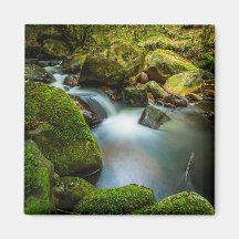 Aguas Wicklow: Un oasis en flujo