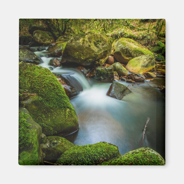 Imán Aguas Wicklow: Un oasis en flujo (Frente)