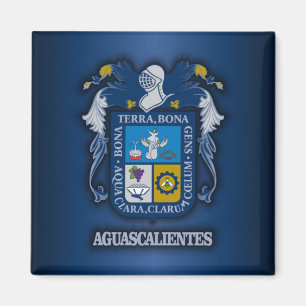 Imán Aguascalientes