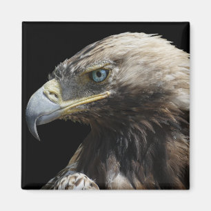 Imán Águila