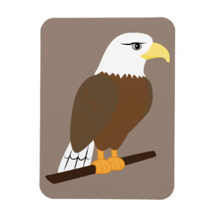 Imán Águila