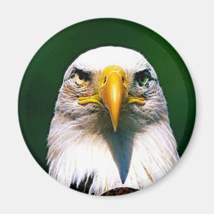 Imán águila