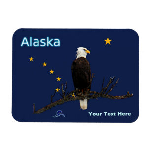 Imán Águila Alaska Y Bandera