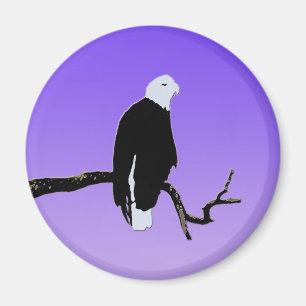 Imán Águila calva al atardecer - Original Arte de Vida 