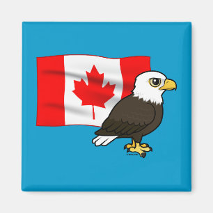 Imán Águila calva canadiense