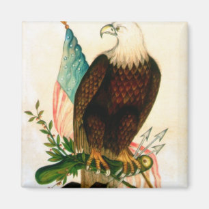 Imán Águila calva con la bandera