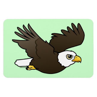 Imán Águila calva en vuelo