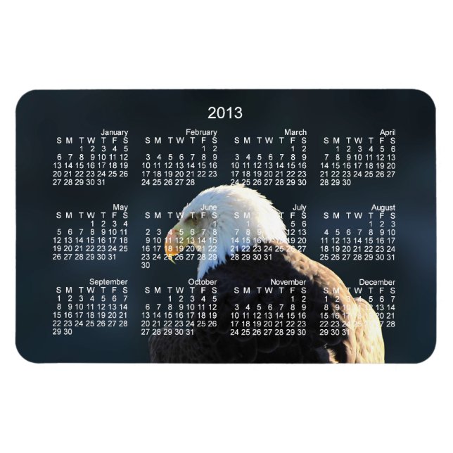 Imán Águila calva solitaria; Calendario 2013 (Horizontal)