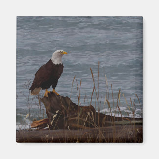 Imán Águila en South Beach