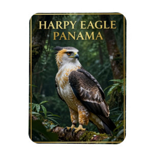 Imán 🦅 Águila Harpía Ave del Bosque Lluvioso de Panamá
