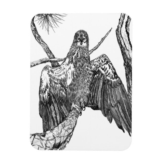 Imán Águila JOVEN MAJESTICA EN POSICIÓN HERALÁSICA (Vertical)