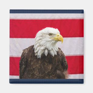 Imán Águila Patriótica