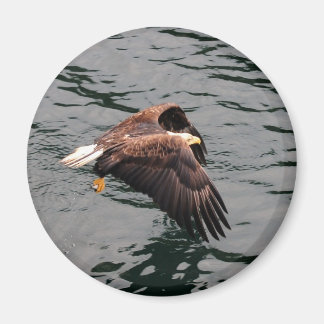 Imán Águila volando con las alas hacia afuera