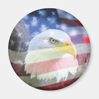 Imán Águila y bandera de los Estados Unidos