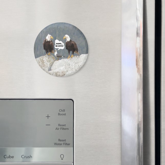 Imán Aguilas divertidas y Ronda de gaviotas (In situ (nevera))