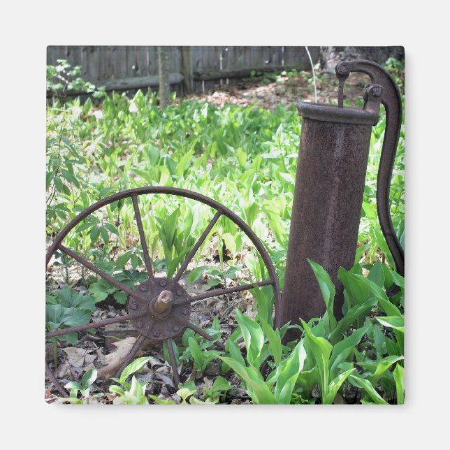 Imán aherrumbrado de la naturaleza del jardín de (Frente)
