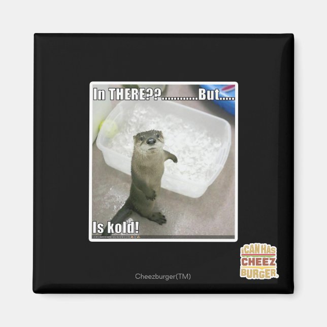 Imán ¿Ahí? ¡Es Kold! (Frente)