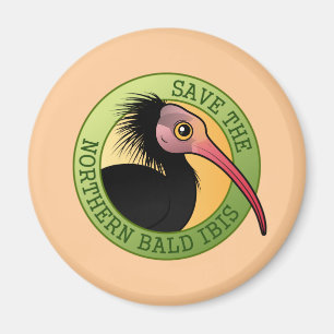 Imán Ahorre el Ibis calvo septentrional
