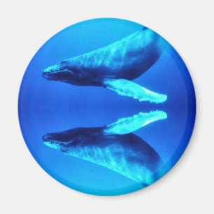 Imán Ahorre las ballenas