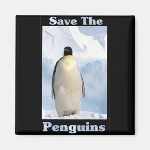 Imán Ahorre los pingüinos