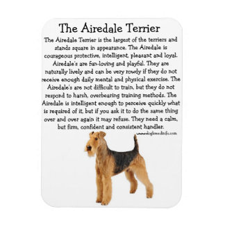 Imán Airedale Info Magnet