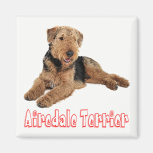 Imán Airedale Terrier Cachorro Perro Marrón y Negro Amo