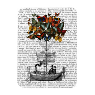 Imán Airpass para mariposas