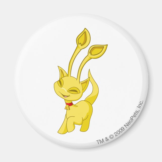 Imán Aisha Gold (Frente)