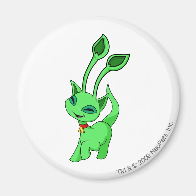 Imán Aisha Green (Frente)