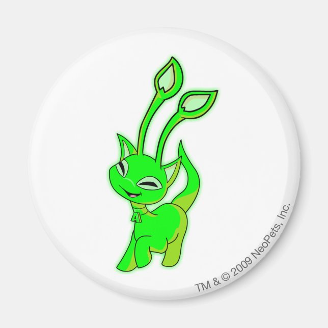 Imán Aisha Gslow (Frente)