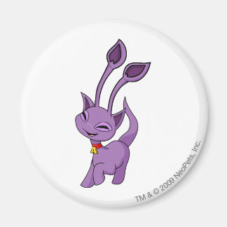 Imán Aisha Purple
