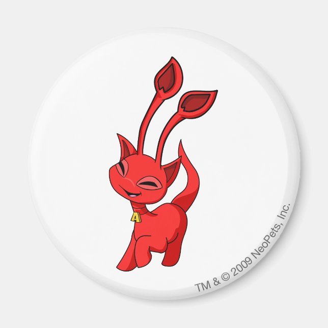 Imán Aisha Red (Frente)