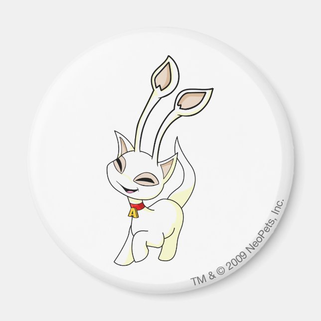 Imán Aisha White (Frente)