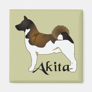 Imán Akita, detallado