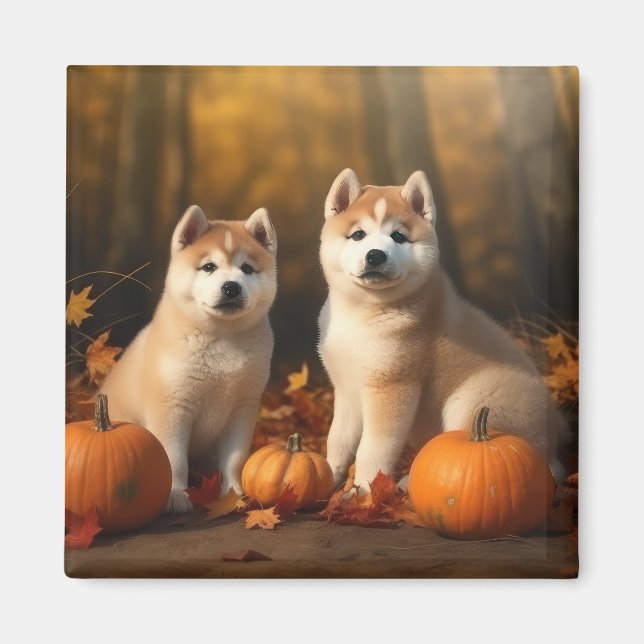 Imán Akita Puppy Calabaza deslumbrante de otoño (Frente)