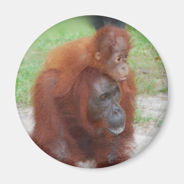 Imán Akmad y Baby Boy (Frente)