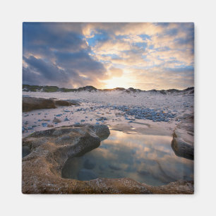 Imán Al Atardecer En Un Puddle